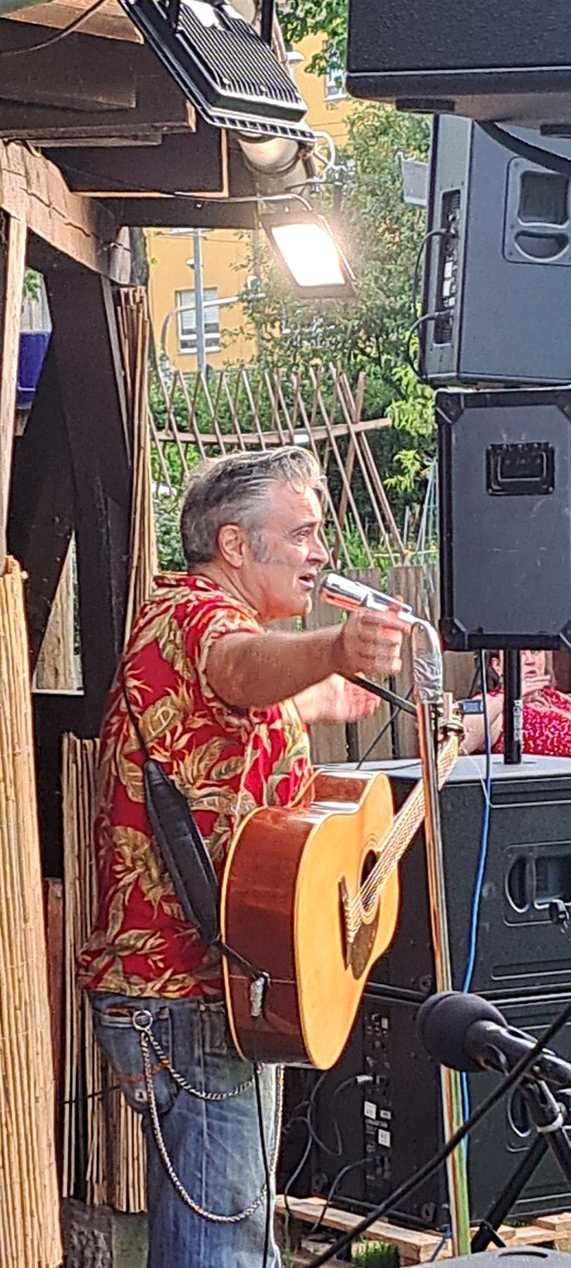 Musiker mit Gitarre und Mikrofon bei Flora trifft Horst